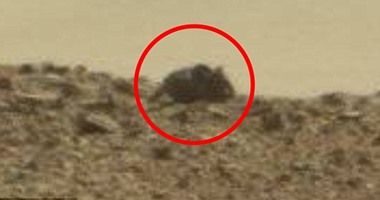 علماء يكتشفون وجود فأر على سطح المريخ طوله ثلاثة أقدام